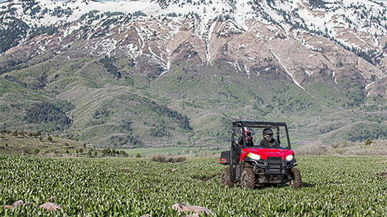 Polaris Ranger 500