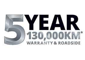 LDV 5 Year Warranty