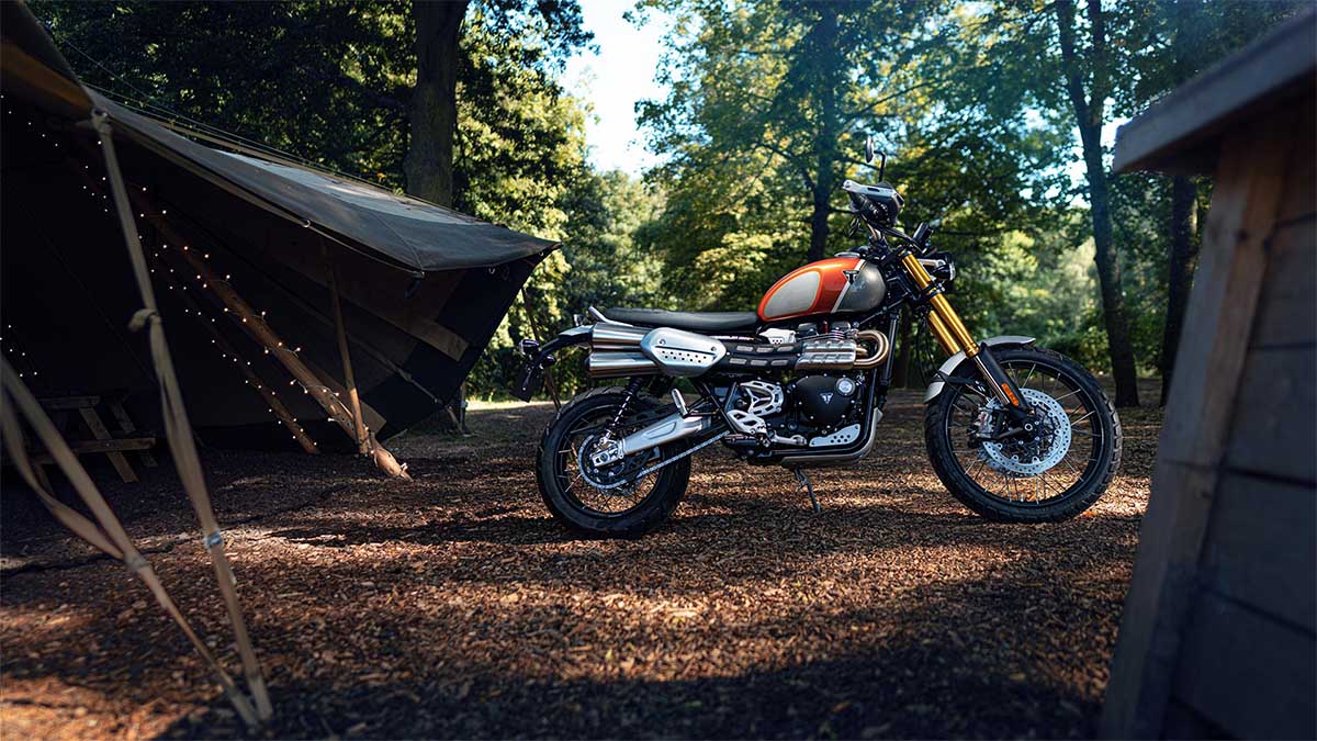 triumph-scrambler-1200-xe-gold-line