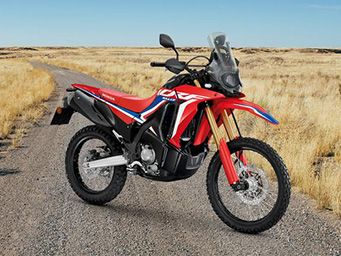 CRF300 Rally for Sale at Virginia Honda in Virginia, Brisbane, QLD | Specifications and Review Information