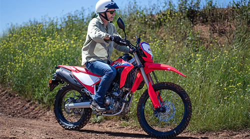 Honda-CRF300L