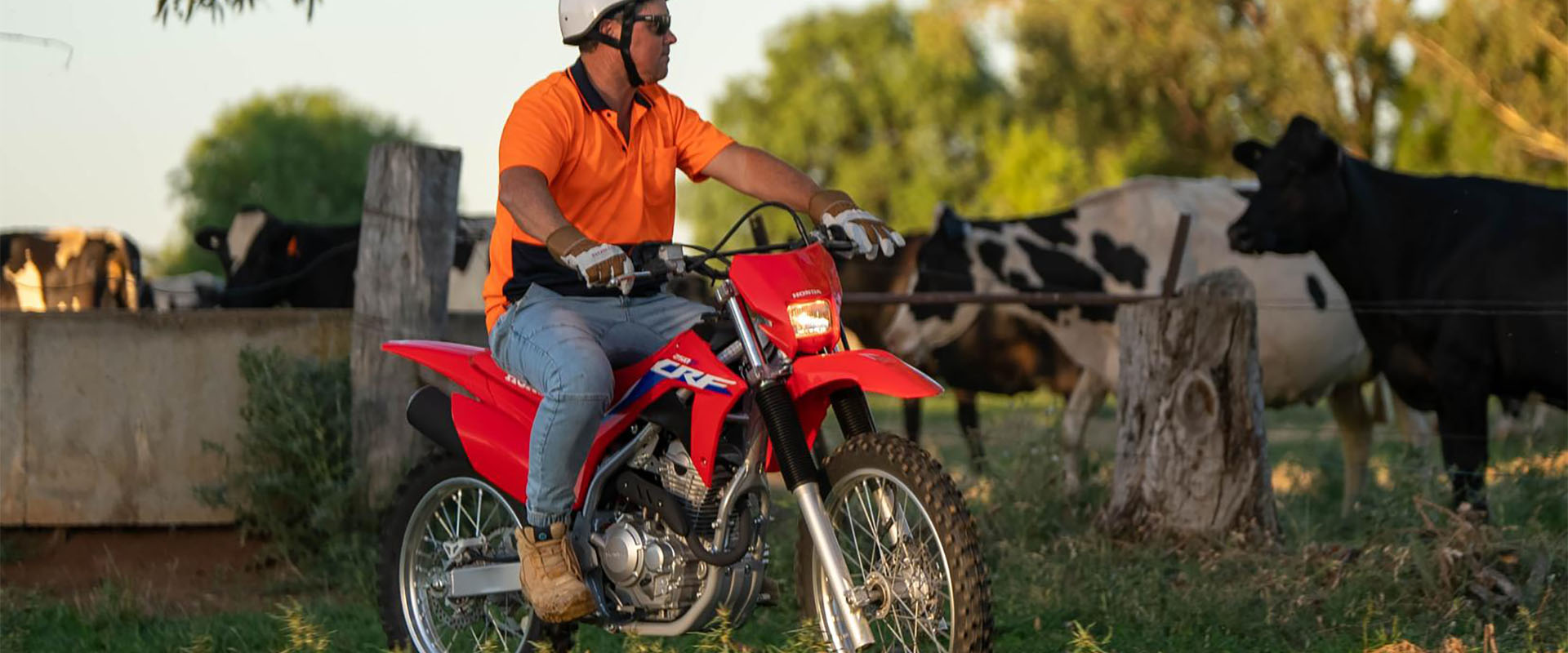 honda-crf250f