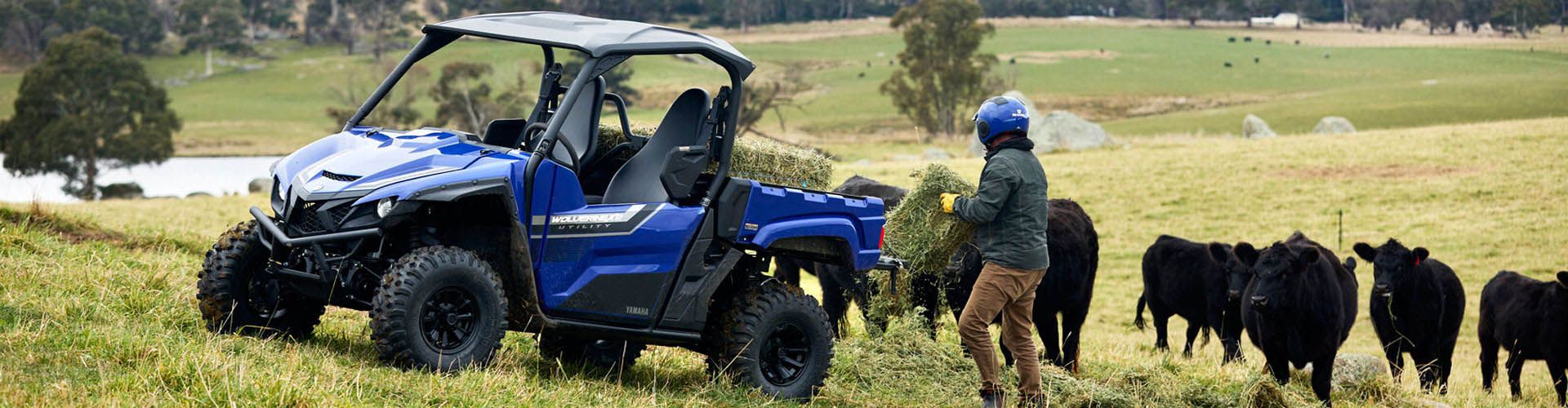 Powerhouse-PB-UTV