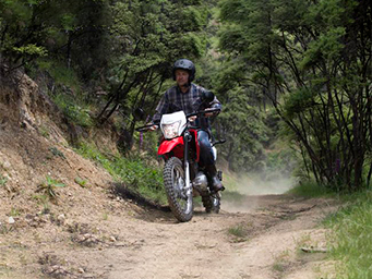 HONDA XR150L for Sale at Gold Coast Honda in Gold Coast, QLD | Specifications and Review Information