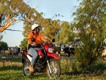 XR190CT for Sale at Gold Coast Honda in Gold Coast, QLD | Specifications and Review Information