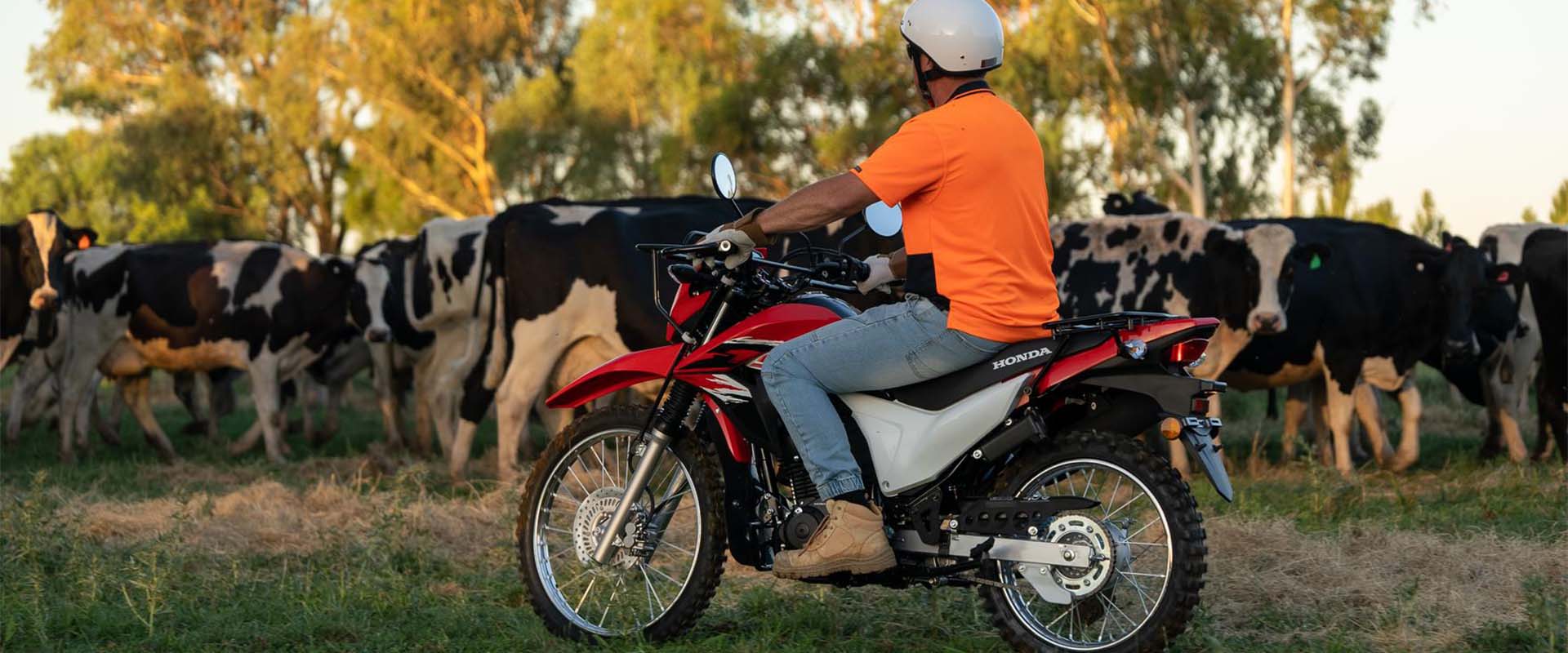 honda-xr190ct