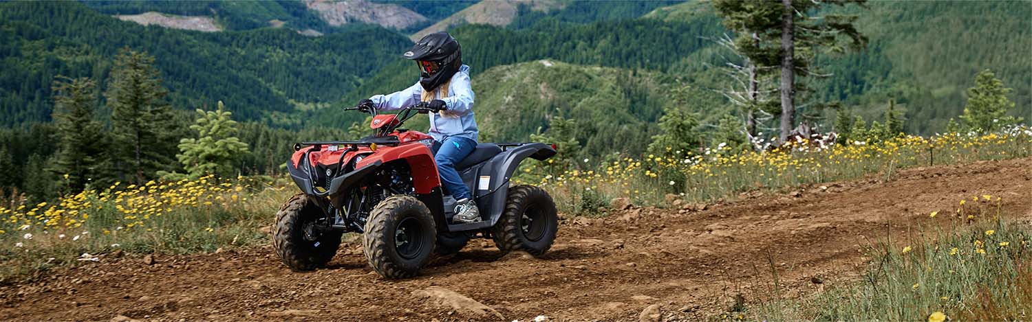 yamaha-grizzly-110