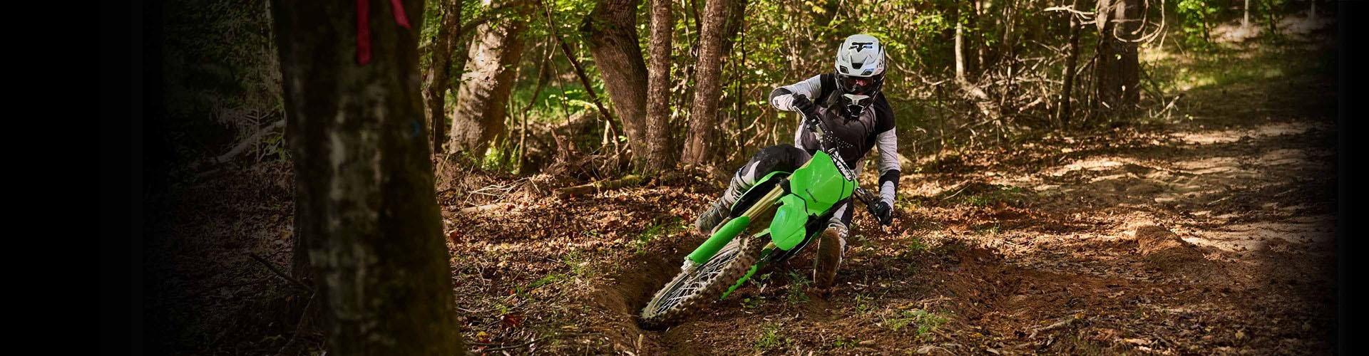 kawasaki-2025-kx450x