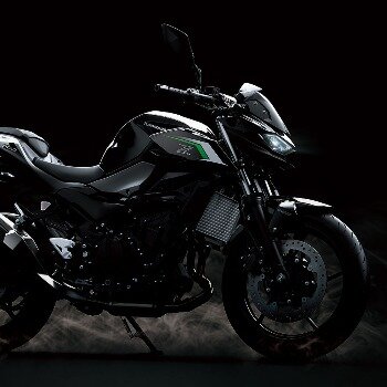 z500 image