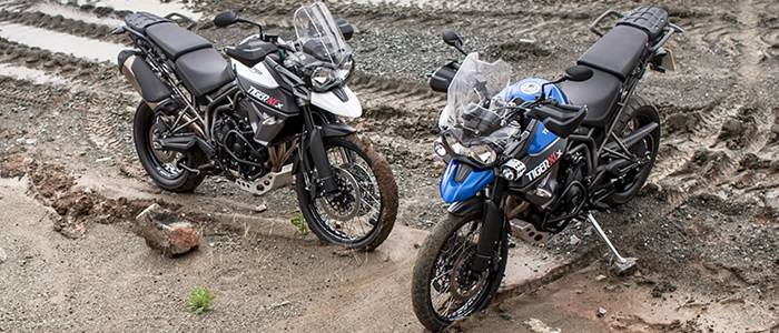triumph_inside_banner_14_nm