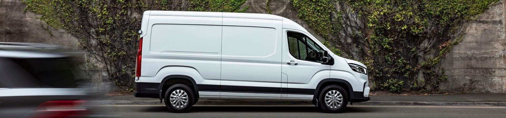 LDV Fleet