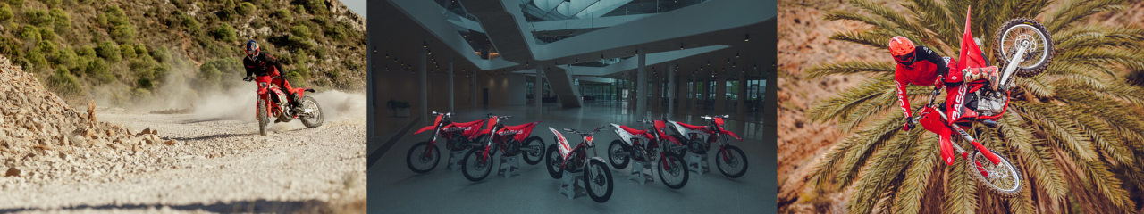 Various GASGAS models